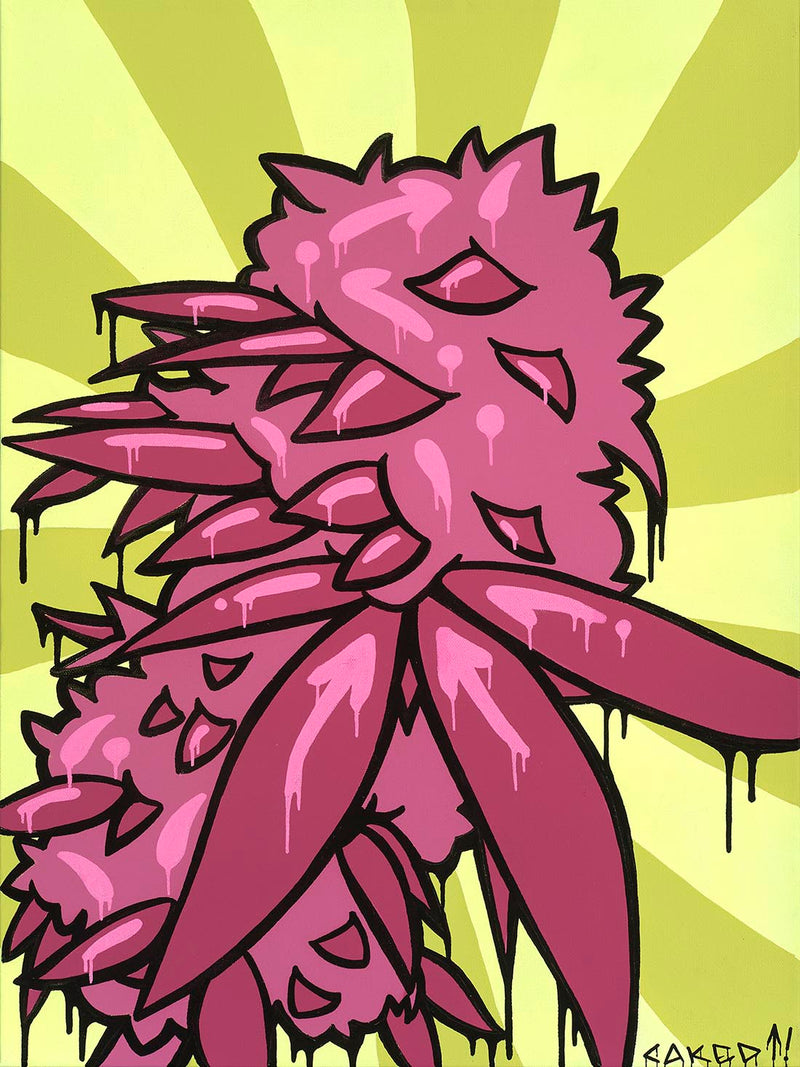 A bright colourful abstract graffiti art piece with a stylized, organic form resembling a cannabis plant flower.